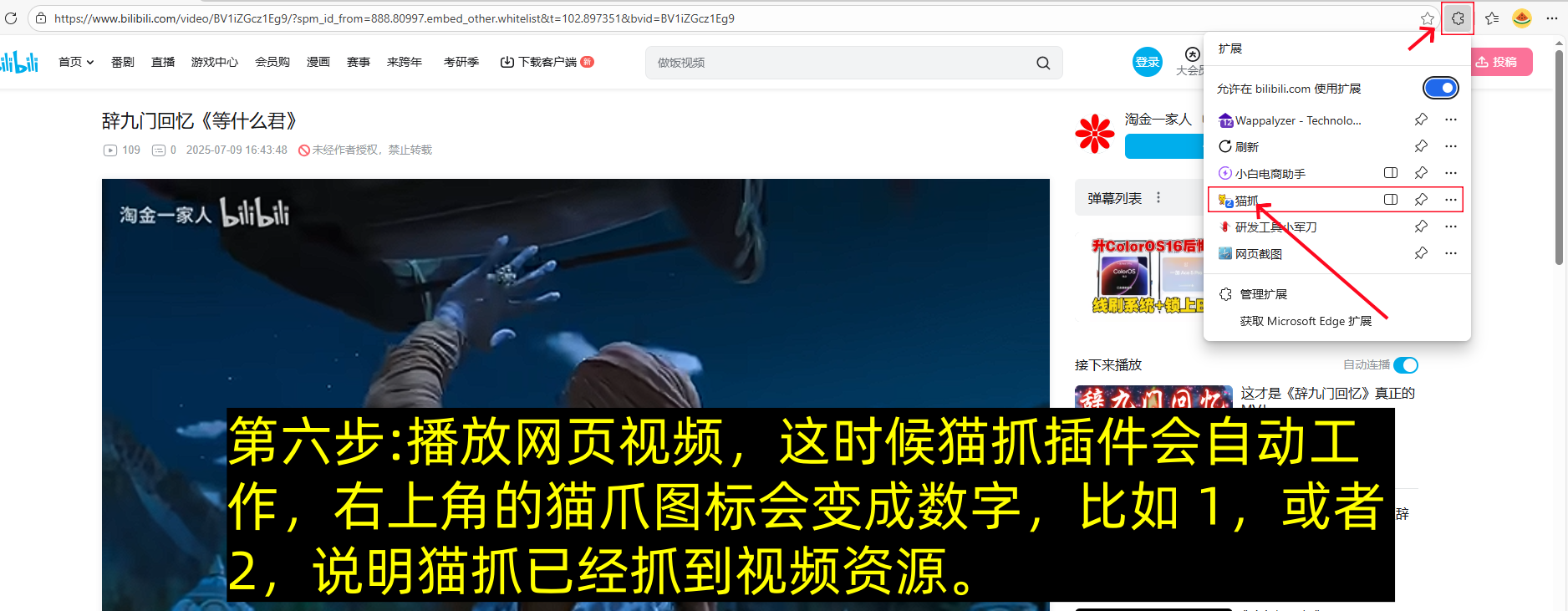 网页视频没有下载按钮如何下载，一个方法教会你（图文详细版）-第6张图片-聚链之家